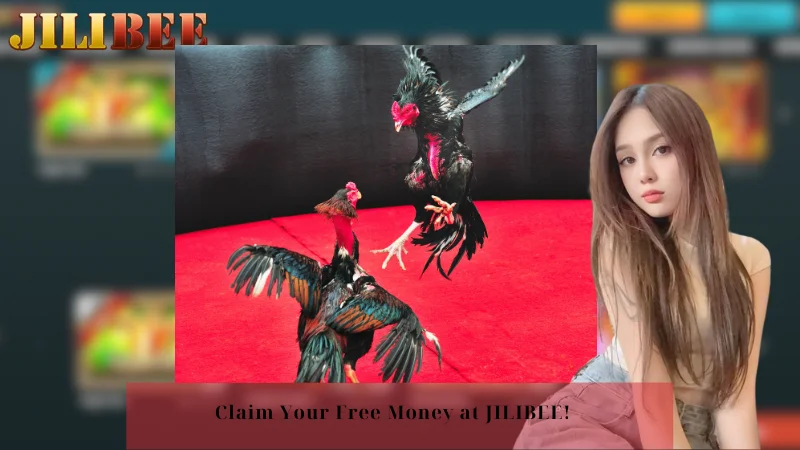 how to bet with paysafecard